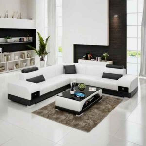 Designer American Style Leather Luxury Furniture Sofa Set (White and Black)